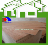 Thin Plywood